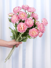 Load image into Gallery viewer, 3 Heads Ranunculus Stem - Pink
