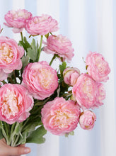 Load image into Gallery viewer, 3 Heads Ranunculus Stem - Pink
