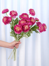 Load image into Gallery viewer, 3 Heads Ranunculus Stem - Deep Pink
