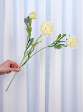 Load image into Gallery viewer, 3 Heads Ranunculus Stem - White
