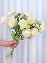 Load image into Gallery viewer, 3 Heads Ranunculus Stem - White
