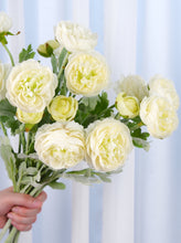 Load image into Gallery viewer, 3 Heads Ranunculus Stem - White
