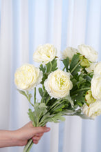 Load image into Gallery viewer, 3 Heads Ranunculus Stem - White
