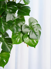 Load image into Gallery viewer, 16&quot; Faux Turtle Leaf Hanging Plant
