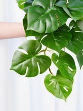 Load image into Gallery viewer, 16&quot; Faux Turtle Leaf Hanging Plant
