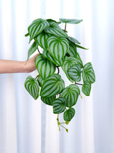 Load image into Gallery viewer, 16&quot; Faux Watermelon Peperomia Hanging Plant
