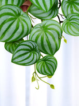 Load image into Gallery viewer, 16&quot; Faux Watermelon Peperomia Hanging Plant
