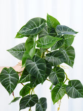 Load image into Gallery viewer, 16&quot; Faux Sweet Potato Leaf Hanging Plant
