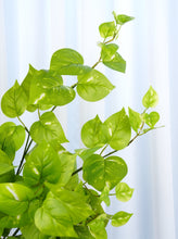 Load image into Gallery viewer, 24&quot; Faux Golden Pothos Plant
