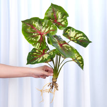 Load image into Gallery viewer, Realistic Faux Syngonium
