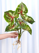 Load image into Gallery viewer, Realistic Faux Syngonium
