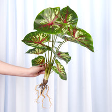 Load image into Gallery viewer, Realistic Faux Syngonium
