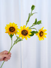 Load image into Gallery viewer, 3 Heads Sunflower Stem - Yellow
