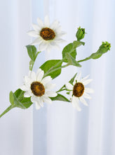 Load image into Gallery viewer, 3 Heads Sunflower Stem - White
