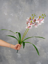 Load image into Gallery viewer, Faux Cymbidium Hybrid Orchid - Purplish Pink
