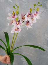 Load image into Gallery viewer, Faux Cymbidium Hybrid Orchid - Purplish Pink
