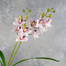 Load image into Gallery viewer, Faux Cymbidium Hybrid Orchid - Purplish Pink
