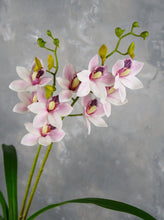 Load image into Gallery viewer, Faux Cymbidium Hybrid Orchid - Purplish Pink
