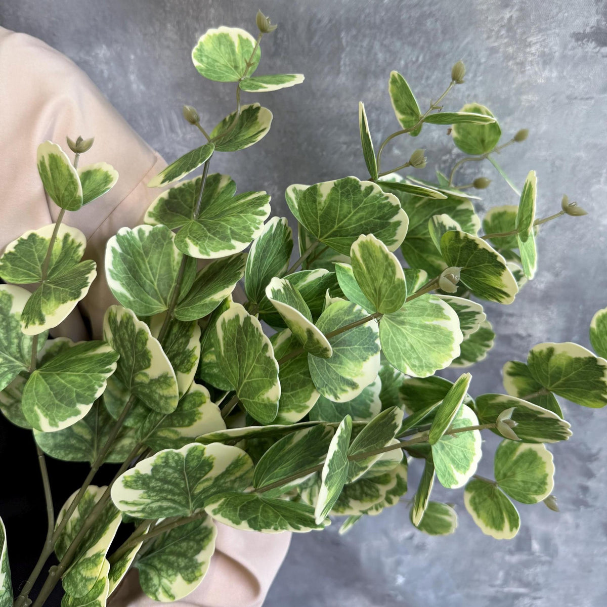 Real Touch Variegated Eucalyptus Branch - Green & Cream
