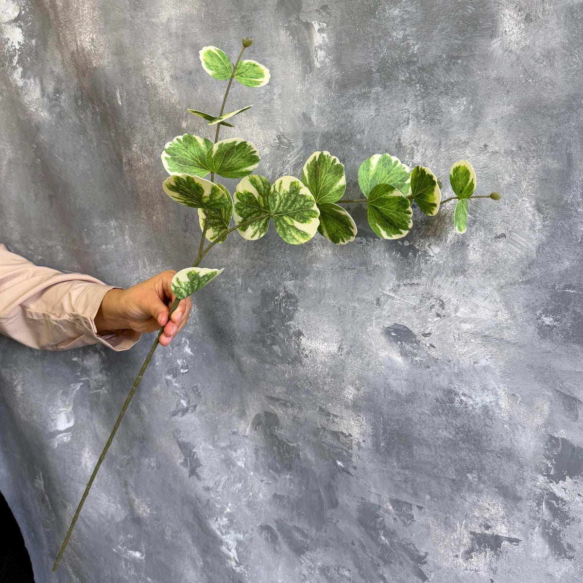 Real Touch Variegated Eucalyptus Branch - Green & Cream