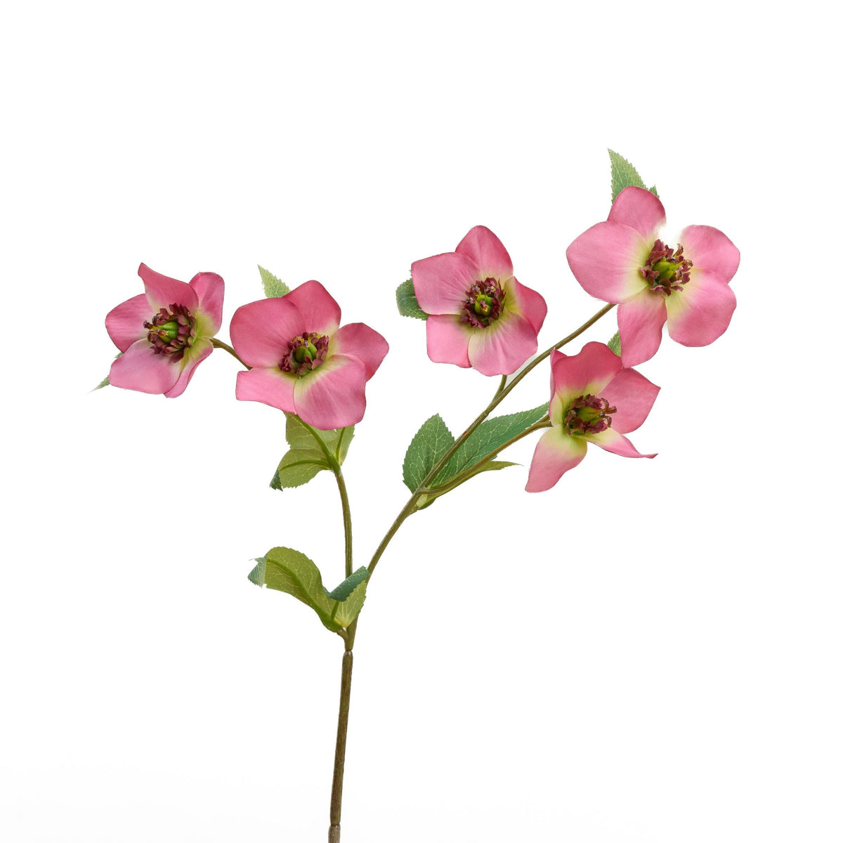 Faux Helleborus Stem - Pink