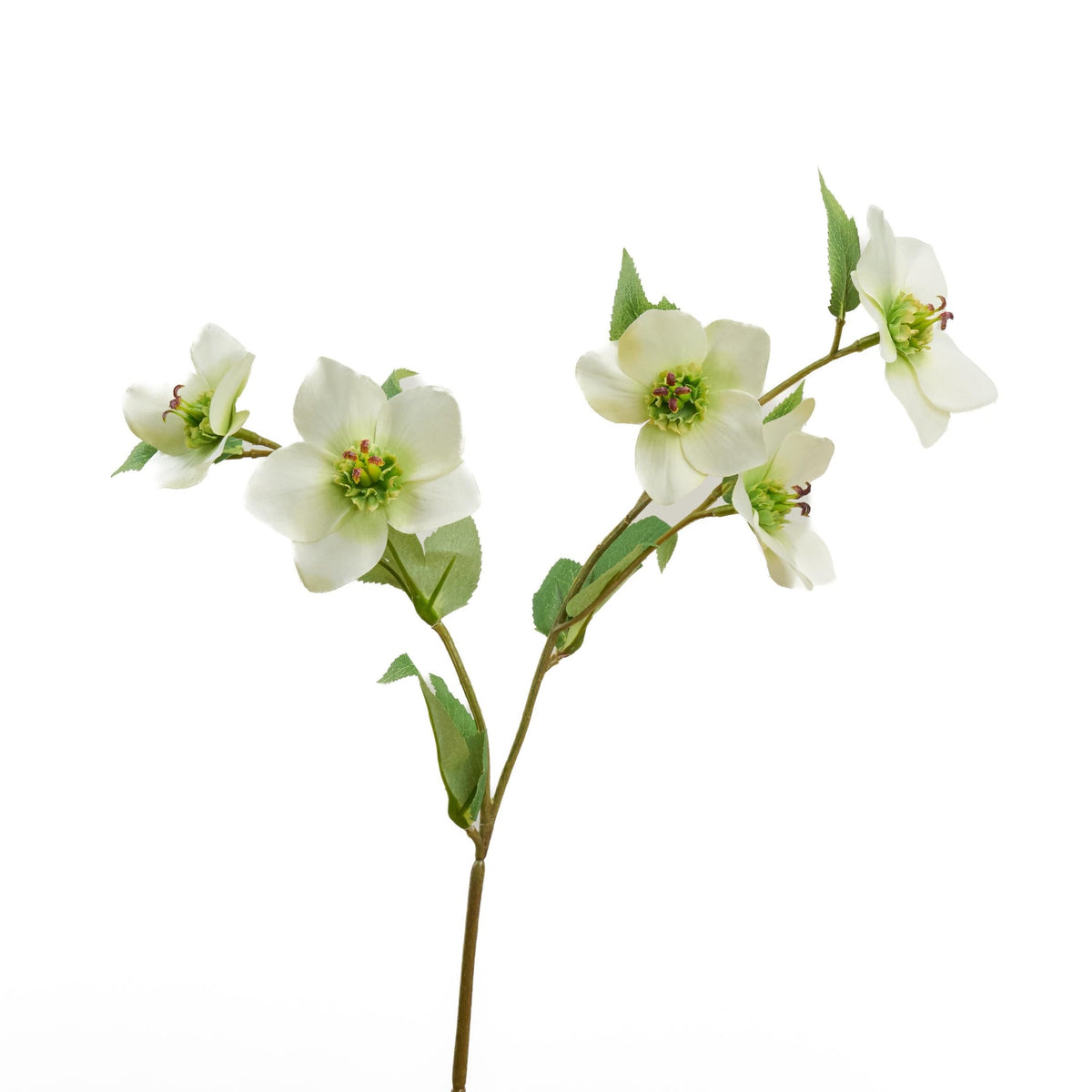 Faux Helleborus Stem - Greenish White