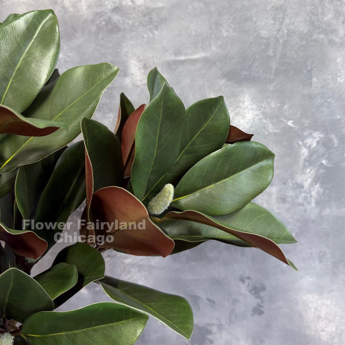 Real Touch Faux Magnolia Branch with 2 Buds