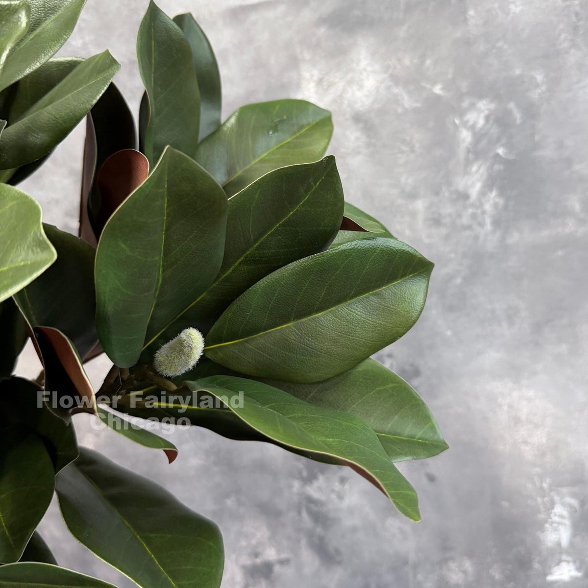 Real Touch Faux Magnolia Branch with 2 Buds