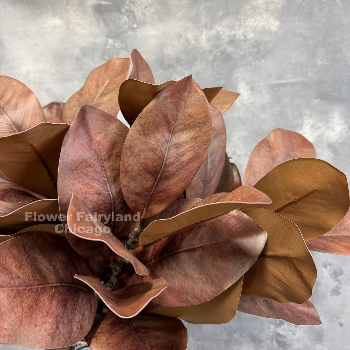 Natural Touch Faux Magnolia Leaf Branch - Brown