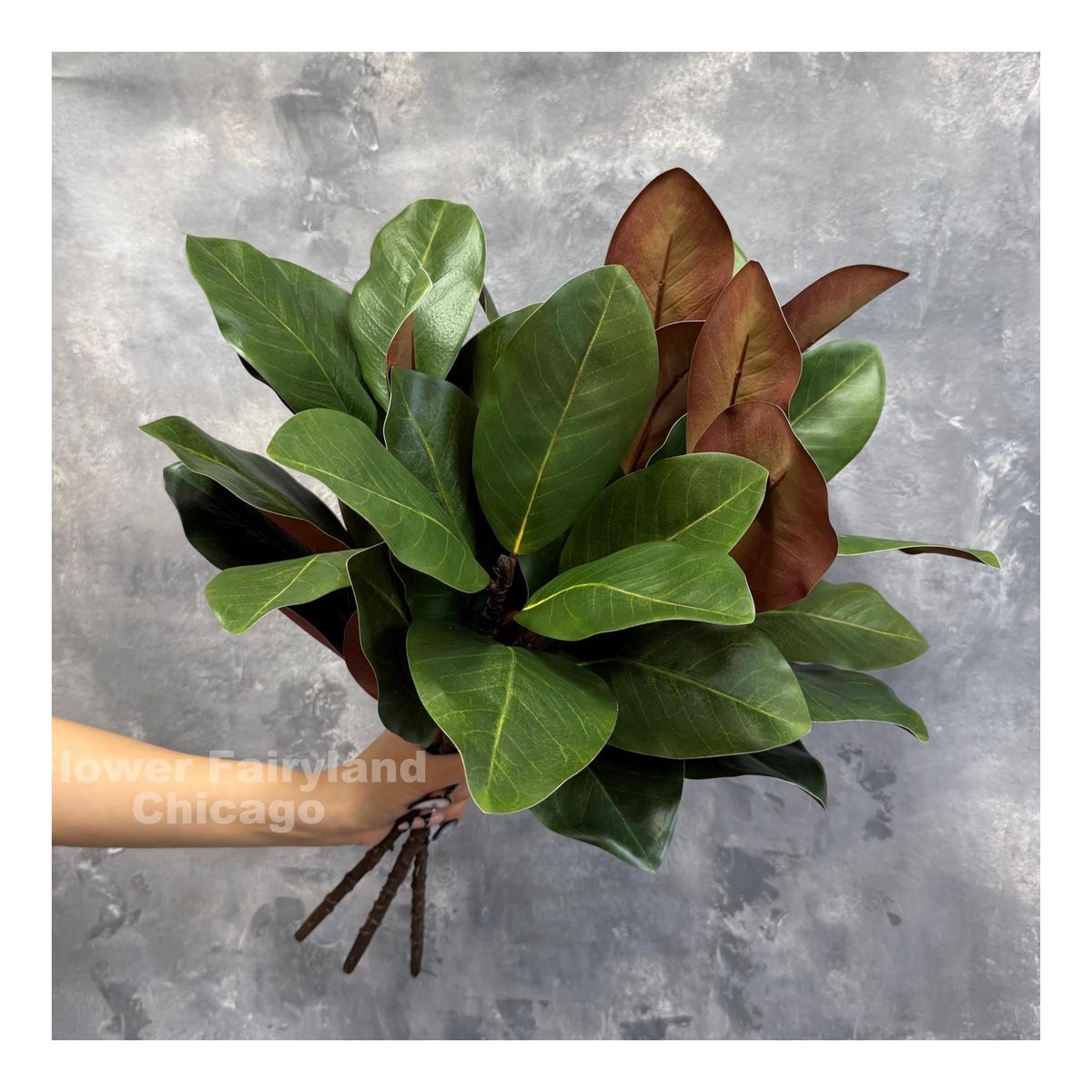 Natural Touch Faux Magnolia Leaf Branch - Green