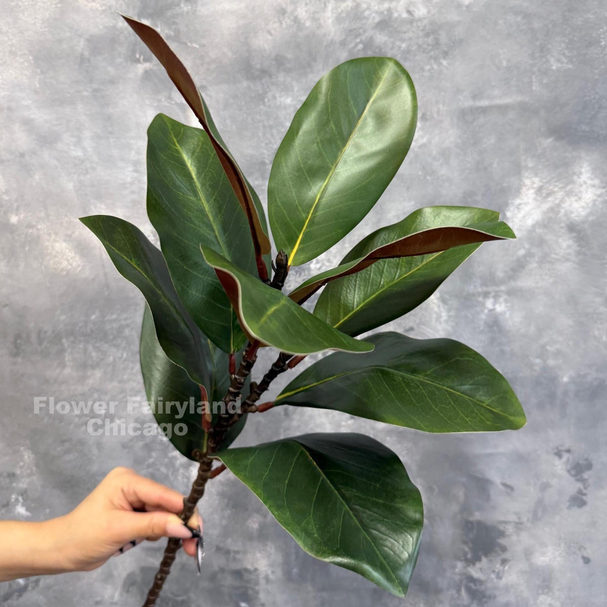 Natural Touch Faux Magnolia Leaf Branch - Green