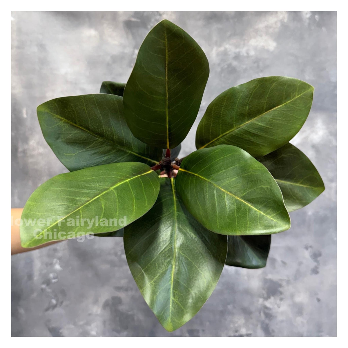 Natural Touch Faux Magnolia Leaf Branch - Green