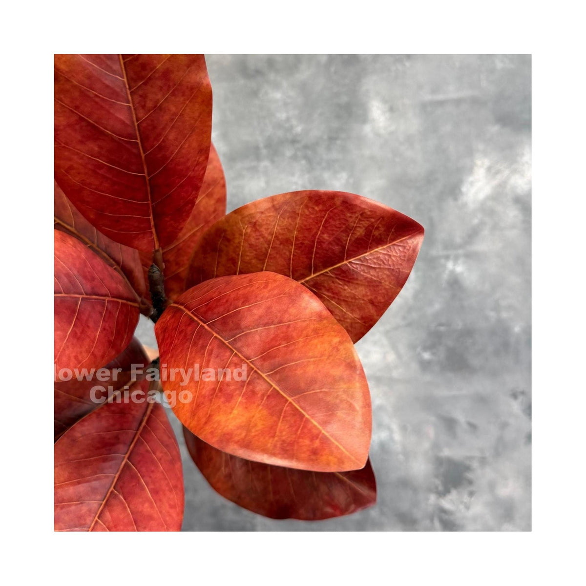 Natural Touch Faux Magnolia Leaf Branch - Burnt Orange