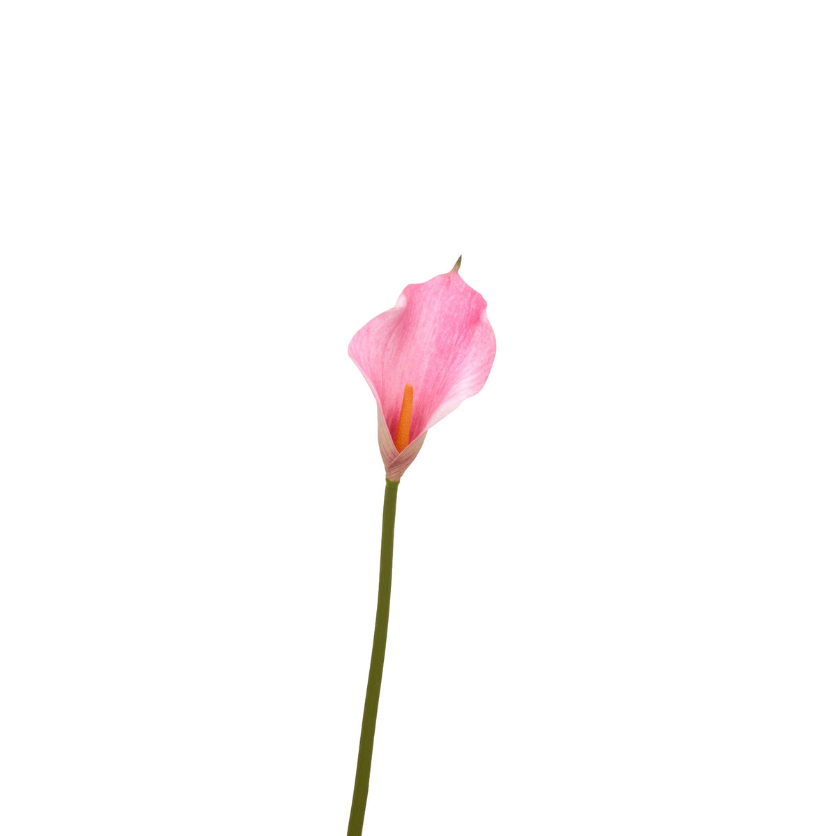 Natural Touch Faux Calla Lily Stem - Pink