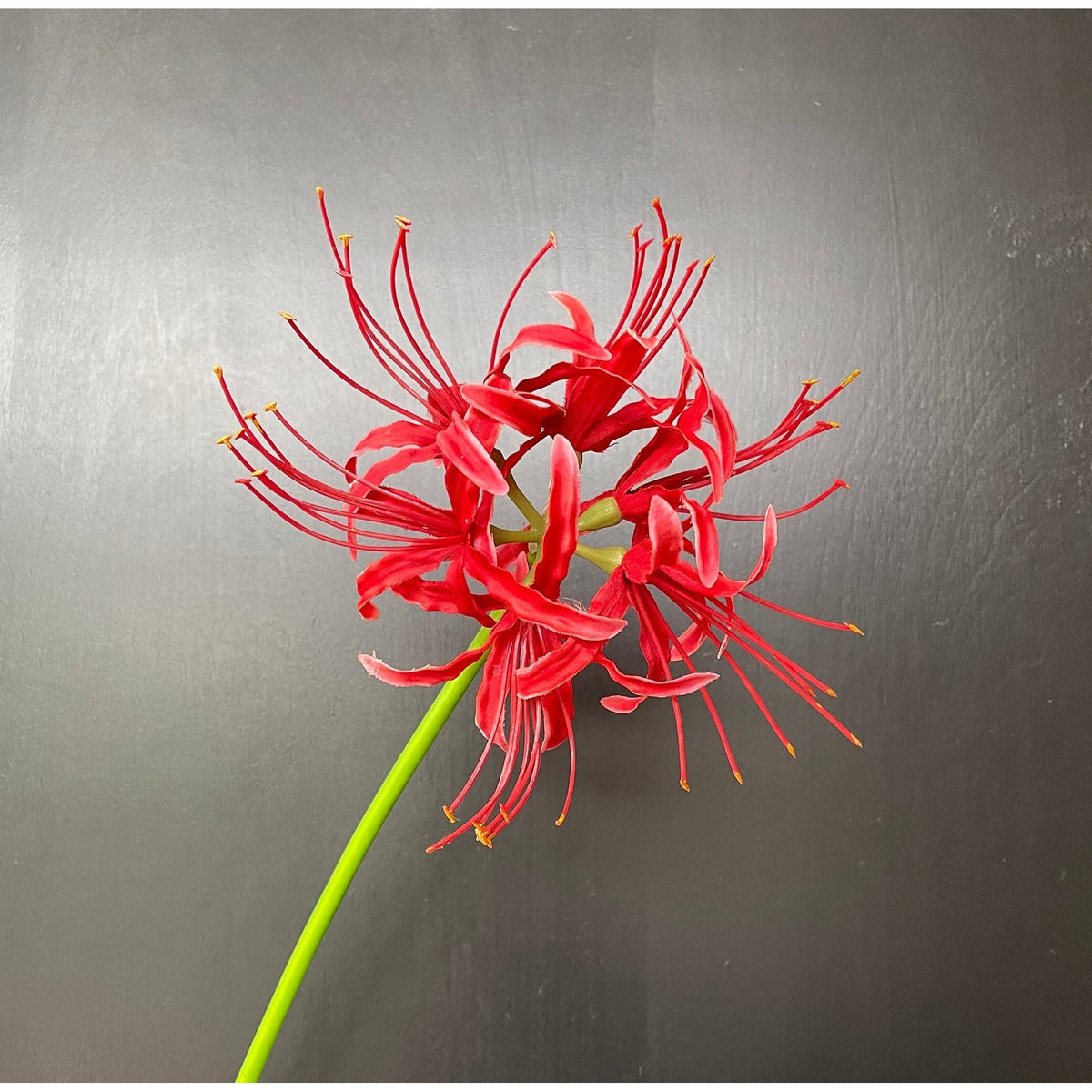 Faux Spider Lily Stem - Red