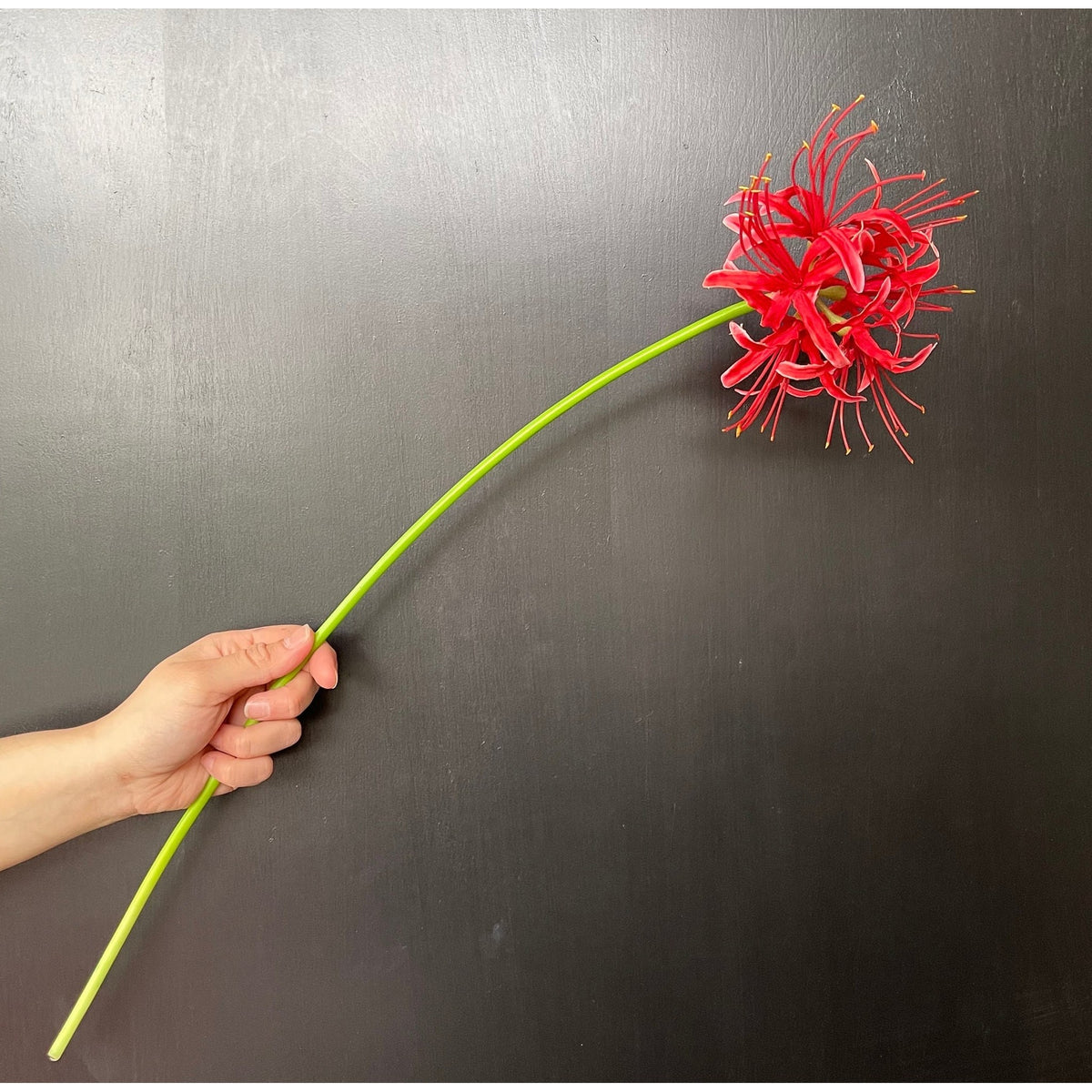 Faux Spider Lily Stem - Red