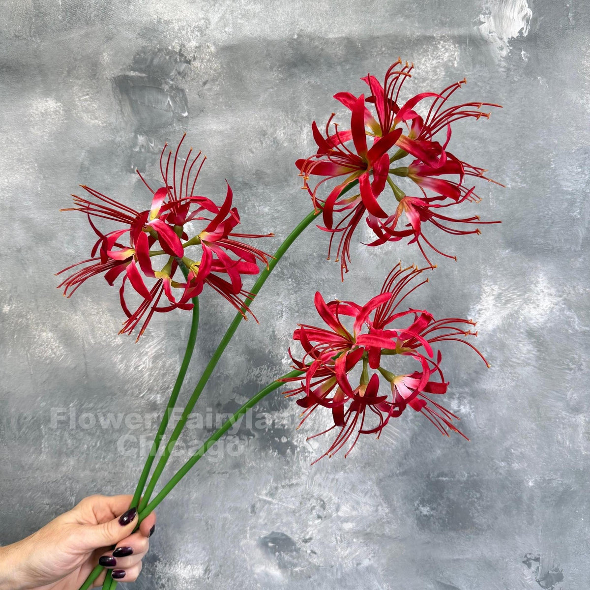 Faux Spider Lily Stem - Red