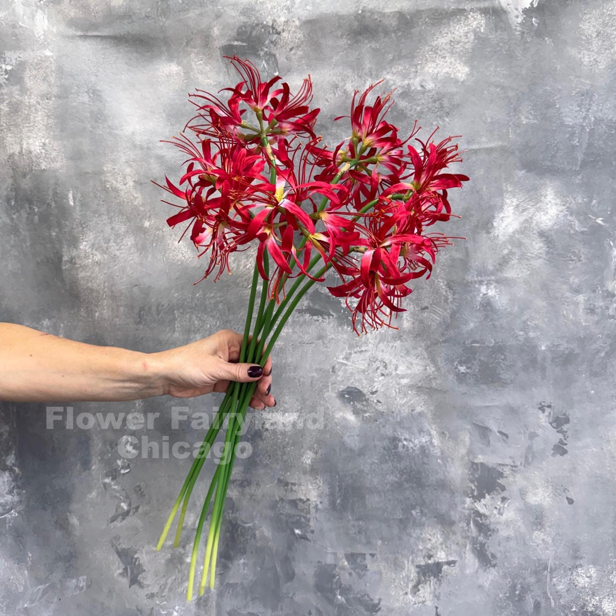 Faux Spider Lily Stem - Red