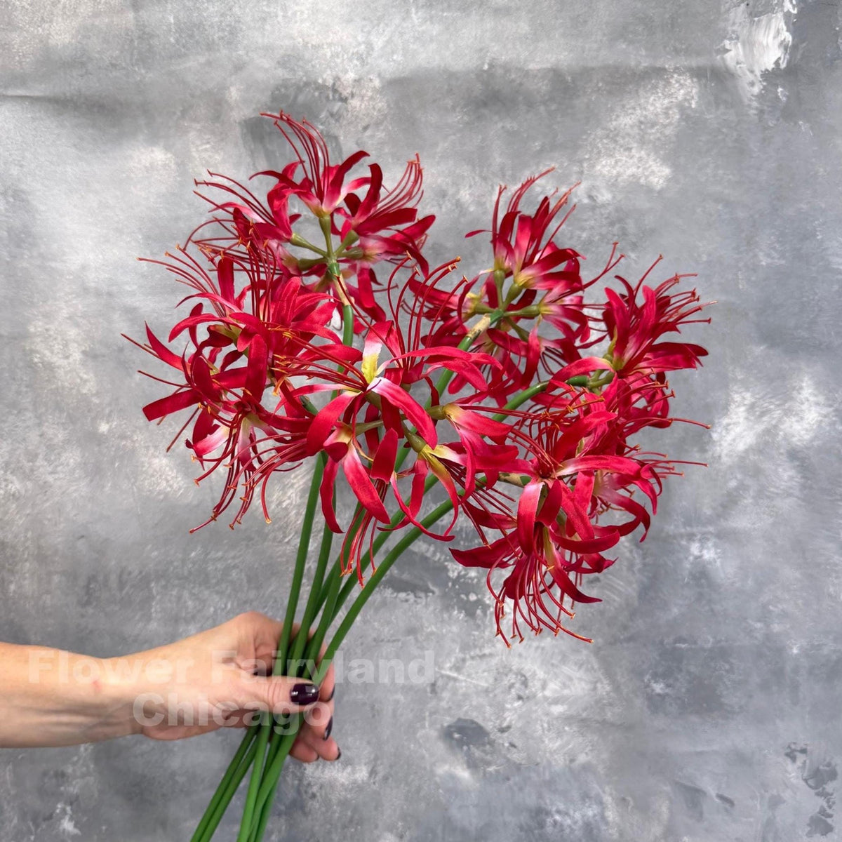 Faux Spider Lily Stem - Red