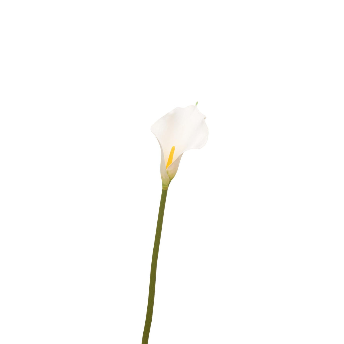 Natural Touch Faux Calla Lily Stem - White