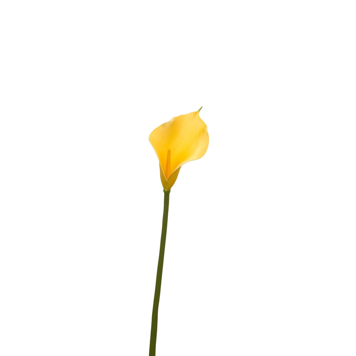 Natural Touch Faux Calla Lily Stem - Yellow