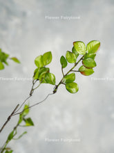 Load image into Gallery viewer, Decorative Leaf Branch Single Stem - Plant - Green ( 39&quot; )
