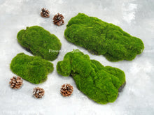 Load image into Gallery viewer, Faux Bryophyta Moss Set of 4 - Greenery
