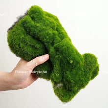 Load image into Gallery viewer, Faux Bryophyta Moss Set of 4 - Greenery
