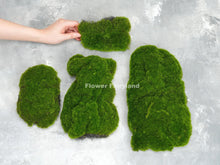Load image into Gallery viewer, Faux Bryophyta Moss Set of 4 - Greenery
