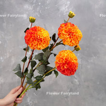 Load image into Gallery viewer, Palmares Dahlia Single Stem - Orange
