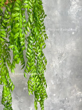 Load image into Gallery viewer, Wall Hanging Vines 45&quot; -  Greenery - Green
