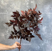 Load image into Gallery viewer, Faux Hanging Eucalyptus Branch  Stem  – 34.5&quot; – Burgandy
