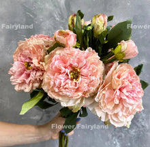 Load image into Gallery viewer, Dried Look Huge Peony - Light Pink

