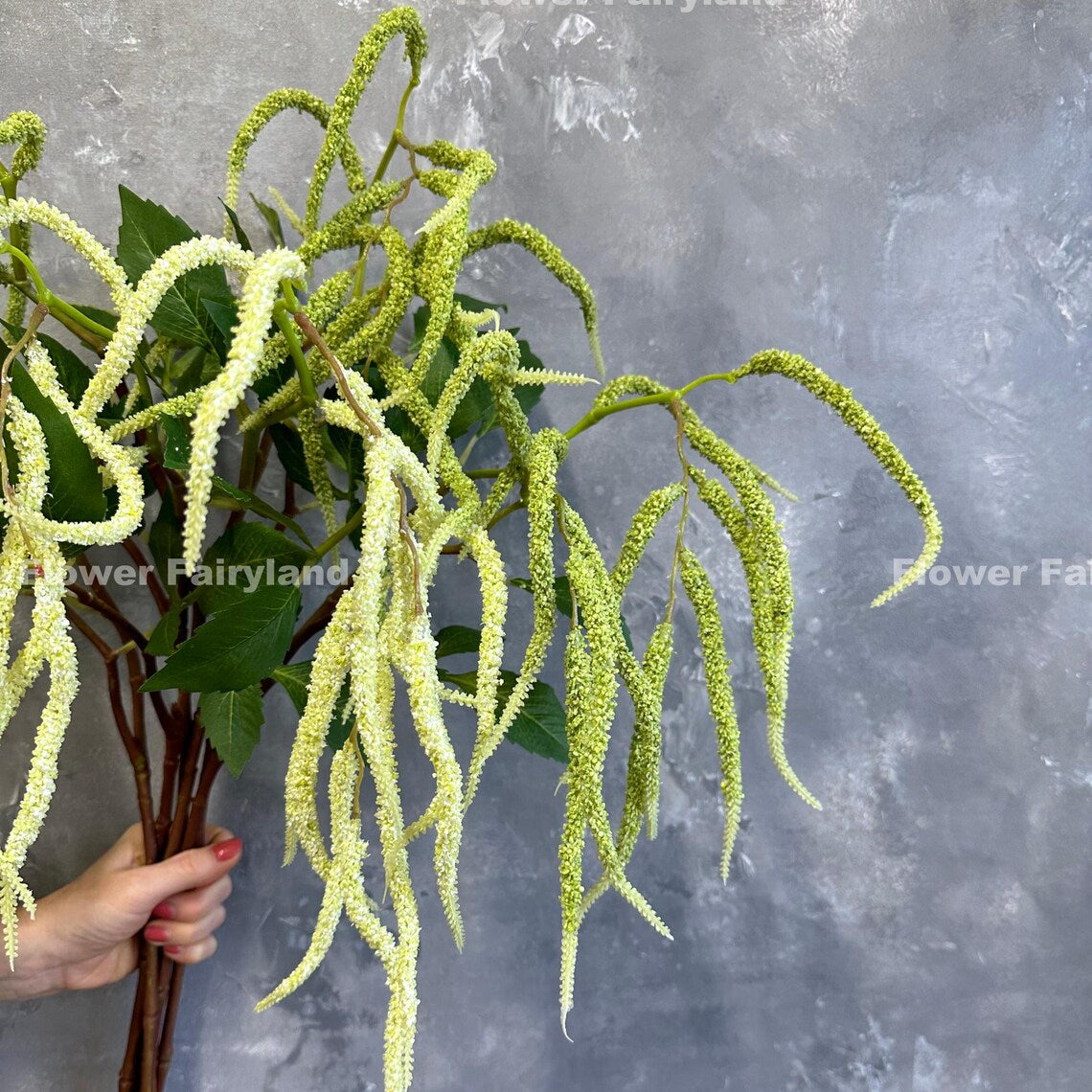Natural Touch Amaranth Green Tails Branch Stem - Green (1 Stem)